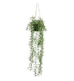 Emerald Buisson suspendu senecio artificiel en pot 70 cm