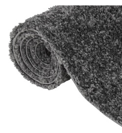 Tapis shaggy à poils longs Anthracite 80x150 cm