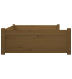 Lit pour chien Marron miel 105,5x75,5x28 cm Bois de pin solide