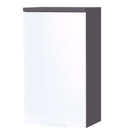 Germania Armoire murale de salle de bain GW-Pescara Blanc et graphite