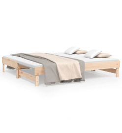 Lit coulissant 2x(90x190) cm Bois de pin massif