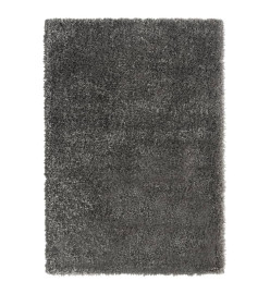 Tapis shaggy à poils hauts Anthracite 160x230 cm 50 mm