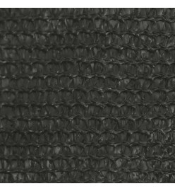 Voile d'ombrage 160 g/m² Anthracite 4x4 m PEHD