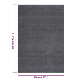 Tapis shaggy doux lavable 160x230 cm Antidérapant Anthracite