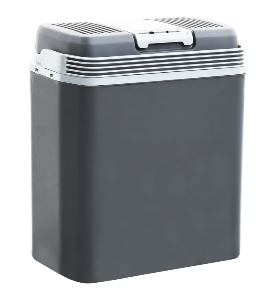 Glacière portable thermoélectrique 20 L 12 V 230 V E