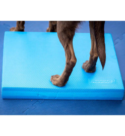 FitPAWS Coussin d'équilibre pour animaux de compagnie 38x46x5 cm Bleu