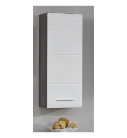 Trendteam Armoire murale de rangement Line blanc et argenté fumé