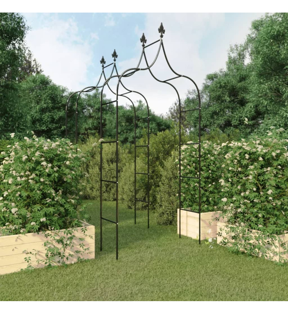 Arches de jardin 2 pcs Noir 120x38x260 cm Acier