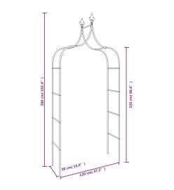 Arches de jardin 2 pcs Noir 120x38x260 cm Acier