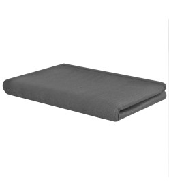 Tapis de tente 300 x 500 cm Anthracite