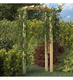 Arche en treillis 110x60x210 cm Bois de pin massif imprégné