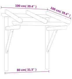 Auvent de porte 100x100x80 cm Bois de pin massif imprégné