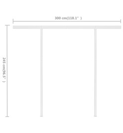 Auvent manuel rétractable avec poteaux 3x2,5 m Bleu et blanc