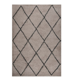 Tapis shaggy à poils longs Beige et anthracite 160x230 cm