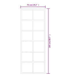 Porte coulissante Verre ESG et aluminium 76x205 cm Noir