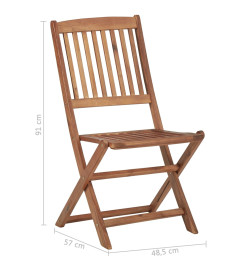 Chaises pliables d'extérieur 2 pcs Bois d'acacia solide