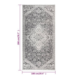 Tapis à tissage plat d'extérieur 100x200 cm Gris clair