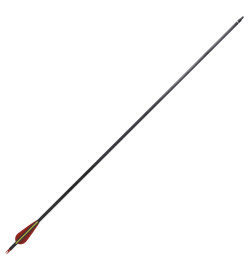 12 flèches standard en carbone 30" 0,76 cm pour arc classique