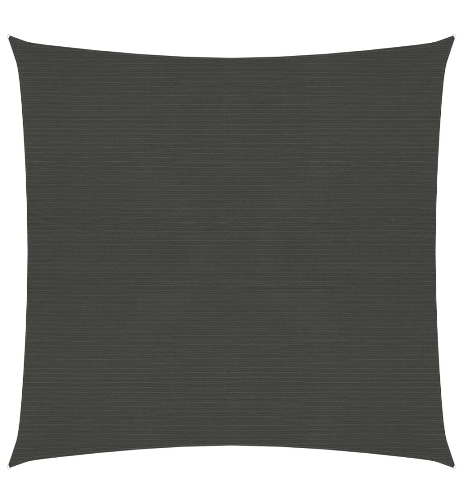 Voile d'ombrage 160 g/m² Anthracite 2,5x2,5 m PEHD