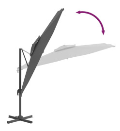 Parasol cantilever à double toit Anthracite 300x300 cm