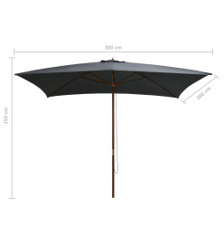 Parasol d'extérieur avec mât en bois 200 x 300 cm Anthracite