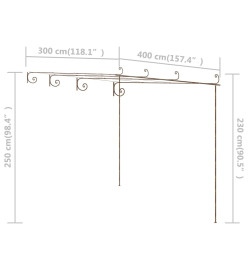 Pergola de jardin Marron antique 4x3x2,5 m Fer