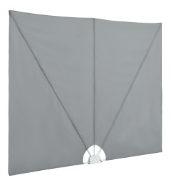 Auvent latéral pliable de terrasse Gris 400 x 200 cm