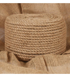 Corde de jute 25 m de long 10 mm d'épaisseur