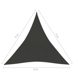 Voile d'ombrage 160 g/m² Anthracite 4x4x4 m PEHD