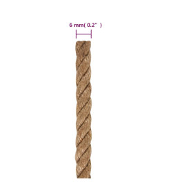 Corde de jute 250 m de long 6 mm d'épaisseur