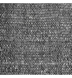 Filet brise-vue Noir 1,5x25 m PEHD 195 g/m²