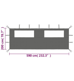 Paroi latérale de belvédère avec fenêtres 6x2 m Anthracite