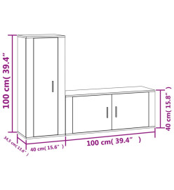 Ensemble de meubles TV 2 pcs noir bois d'ingénierie