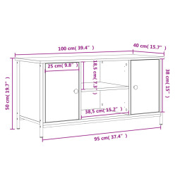 Meuble TV Sonoma gris 100x40x50 cm Bois d'ingénierie