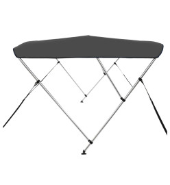 Auvent bimini à 3 arceaux Anthracite 183x160x137 cm