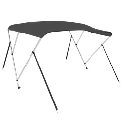 Auvent bimini à 3 arceaux Anthracite 183x160x137 cm