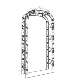 Arche de jardin Noir 116x45x240 cm Acier