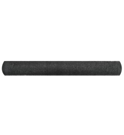 Filet brise-vue PEHD 1x25 m Noir 150 g/m²