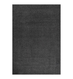 Tapis shaggy à poils longs Anthracite 160x230 cm