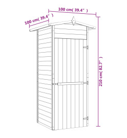 Abri de stockage pour jardin Pin Imprégné 100 x 100 x 210 cm