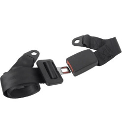 Carpoint Ceinture de sécurité à 2 points réglable 1 côté Noir