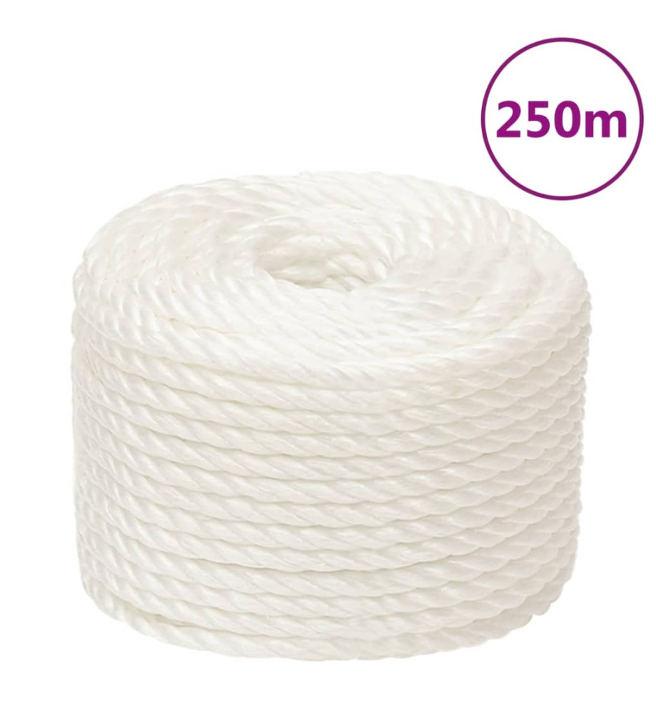 Corde de travail Blanc 10 mm 250 m polypropylène