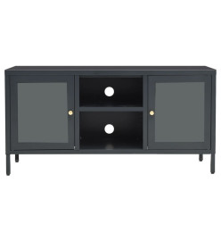 Meuble TV Anthracite 105x35x52 cm Acier et verre