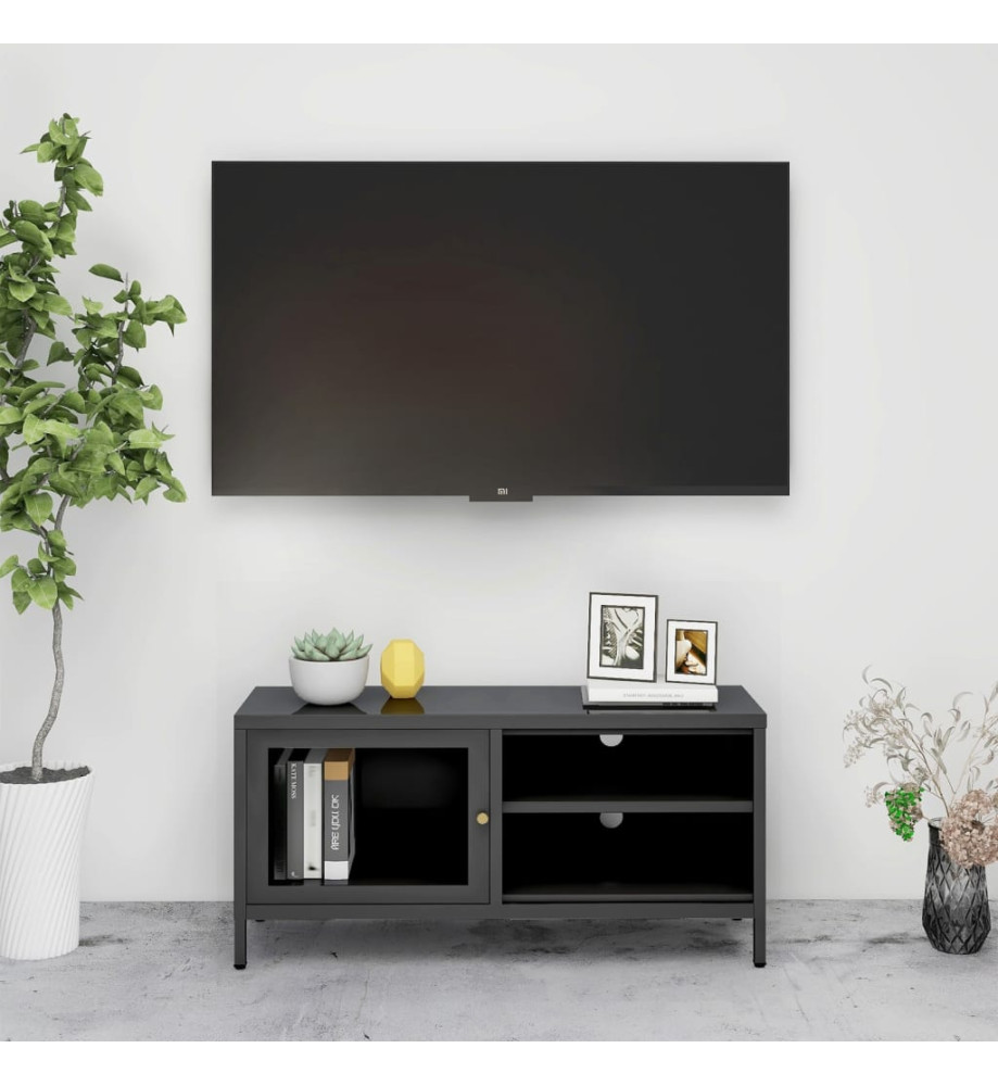 Meuble TV Anthracite 90x30x44 cm Acier et verre