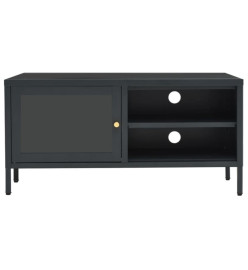 Meuble TV Anthracite 90x30x44 cm Acier et verre