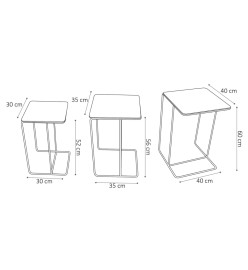 Rousseau Ensemble de tables d'appoint 3 pcs Covera Métal Multicolore