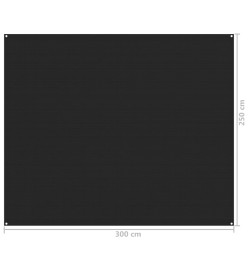 Tapis de tente 250x300 cm Noir