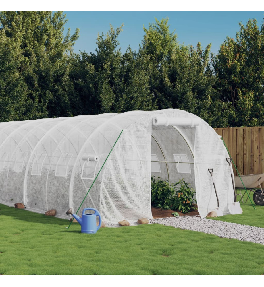 Serre avec cadre en acier blanc 24 m² 8x3x2 m