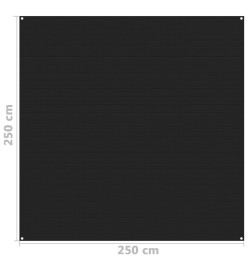 Tapis de tente 250x250 cm Noir