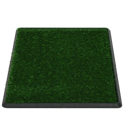 Tapis pour animaux 2 pcs avec plateau et gazon artificiel Vert